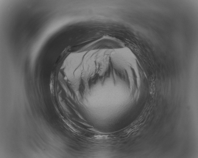 X0000081590052200702121524