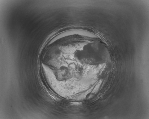 X0000081590053200702121524