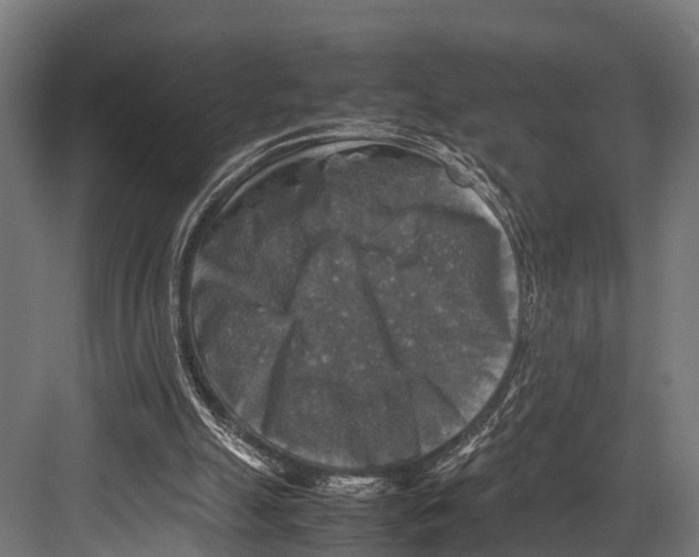 X0000081590055200702121524