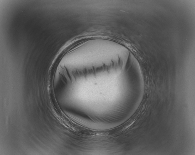 X0000081590056200702121524