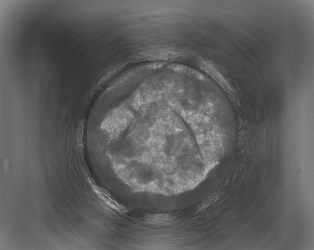 X0000081590058200702121525