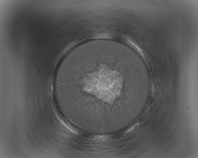 X0000081590059200702121525