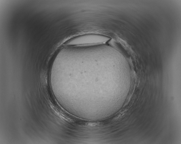 X0000081590060200702121525