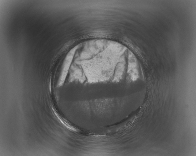 X0000081590062200702121525