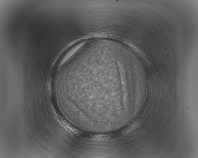 X0000081590064200702121525