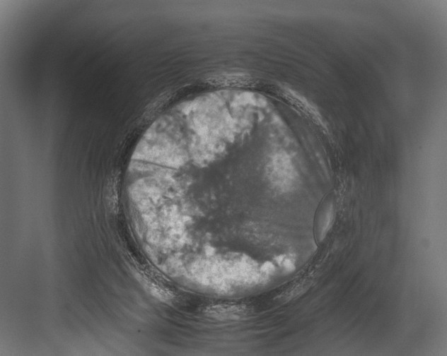 X0000081590065200702121525