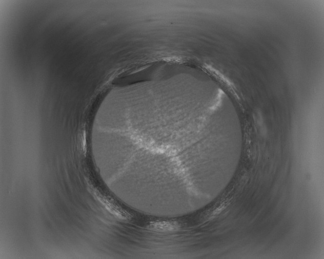 X0000081590067200702121525