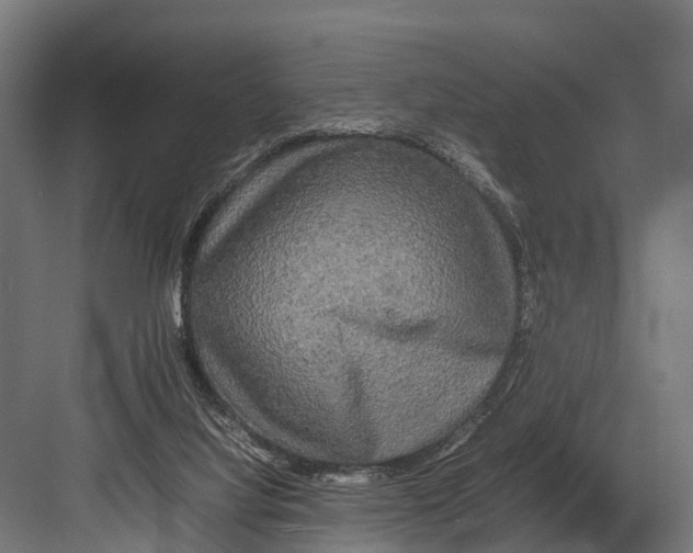 X0000081590068200702121525