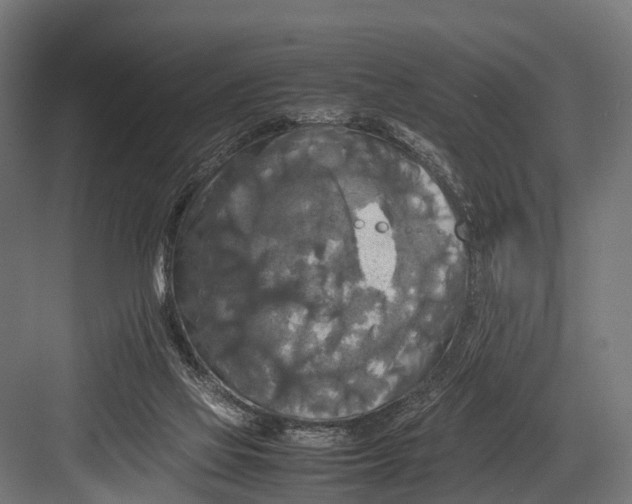 X0000081590069200702121525