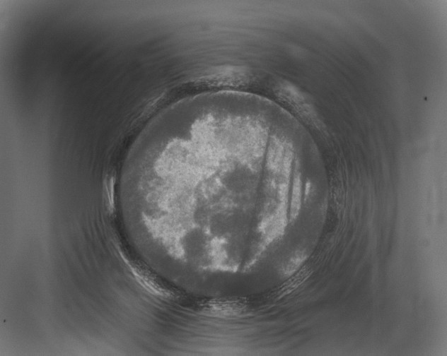 X0000081590070200702121525