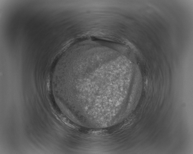 X0000081590072200702121525