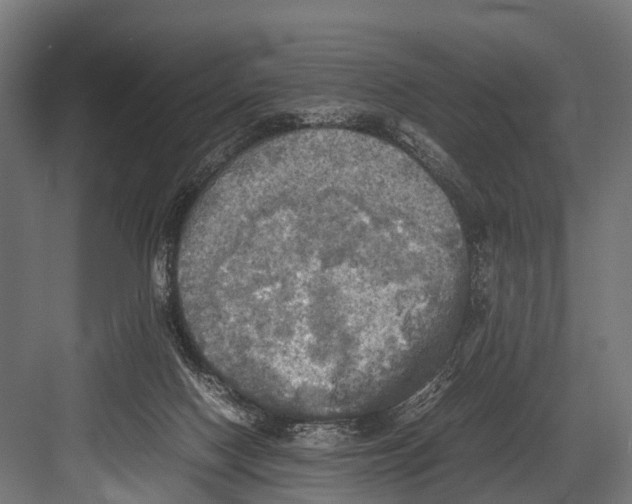 X0000081590074200702121525