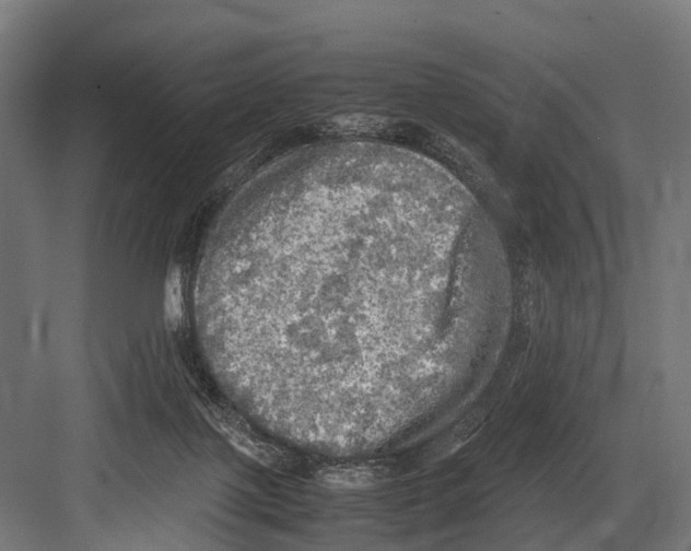 X0000081590075200702121525