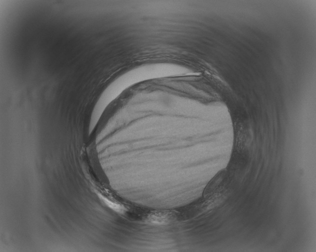 X0000081590076200702121525