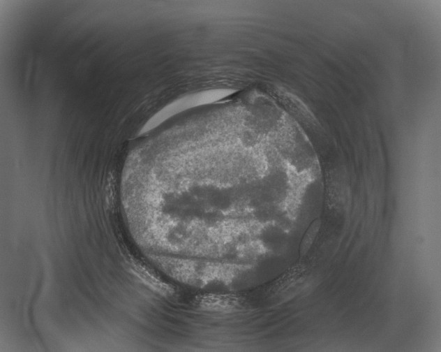 X0000081590077200702121525