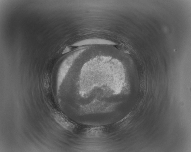 X0000081590078200702121525