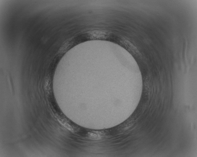 X0000081590079200702121525