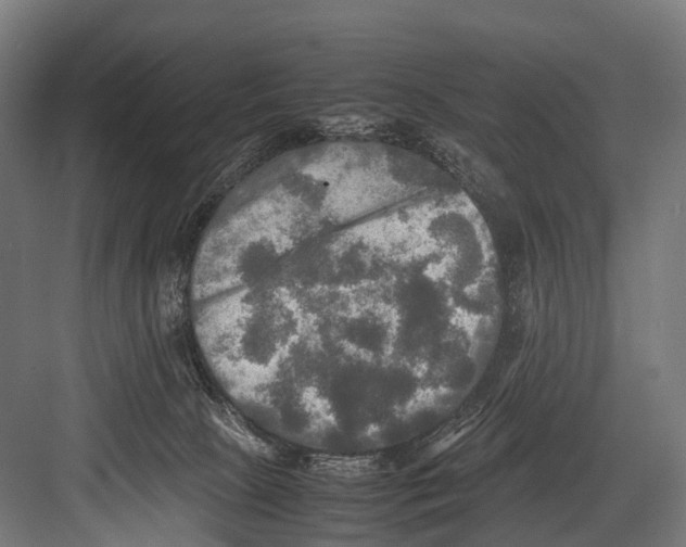 X0000081590081200702121525