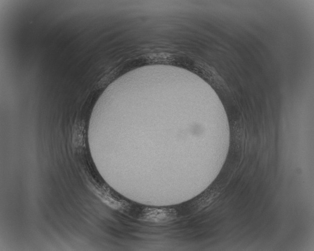 X0000081590083200702121525