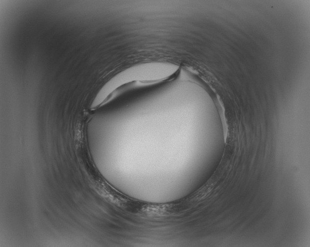 X0000081590084200702121525