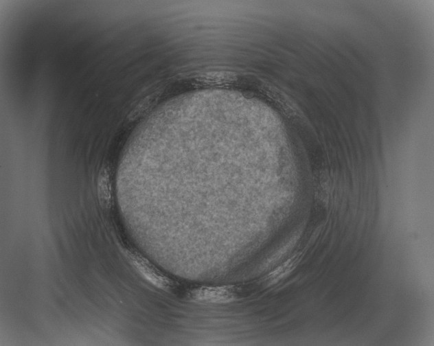 X0000081590086200702121525