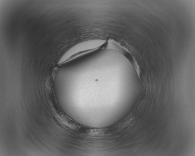 X0000081590088200702121525