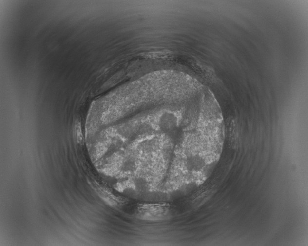 X0000081590089200702121525