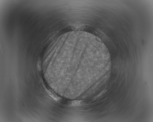 X0000081590090200702121525