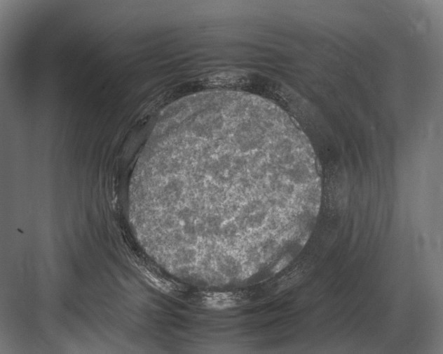 X0000081590091200702121525