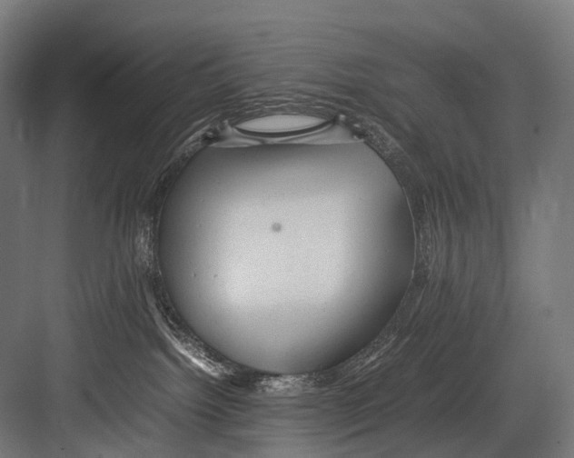 X0000081590092200702121525