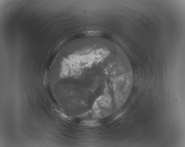 X0000081590093200702121525