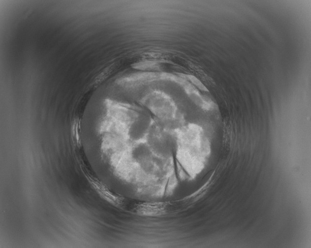 X0000081590094200702121525