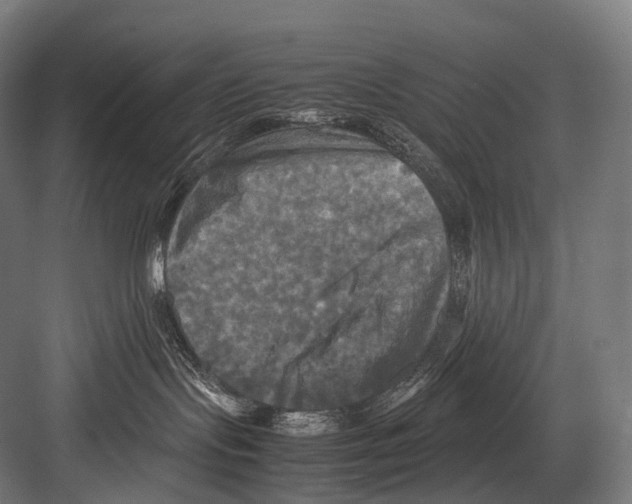 X0000081590095200702121525