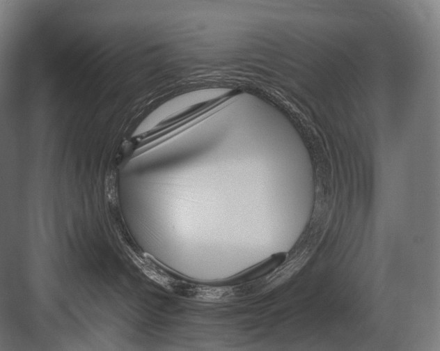 X0000081590096200702121525