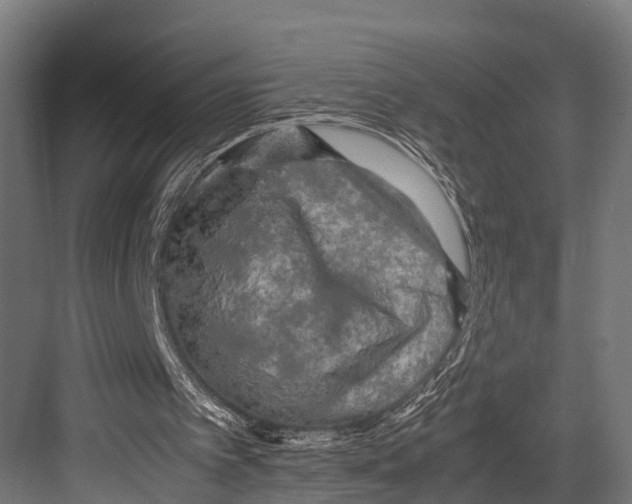 X0000081590097200702121524