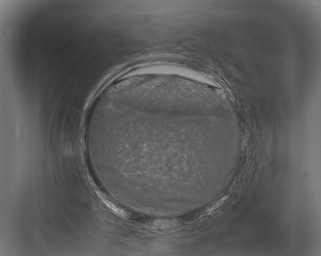 X0000081590101200702121524