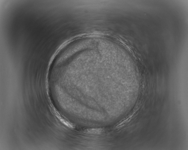 X0000081590102200702121524