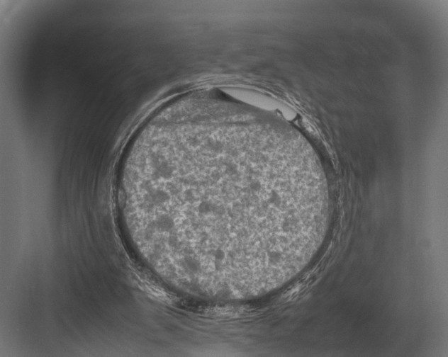 X0000081590103200702121524