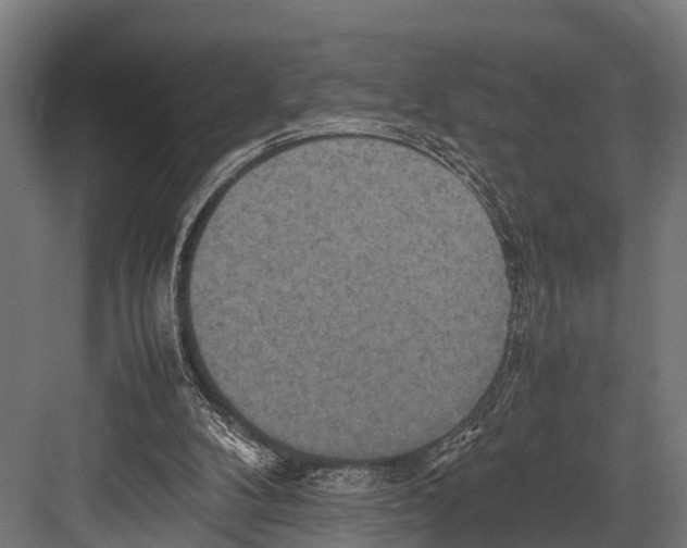 X0000081590104200702121524