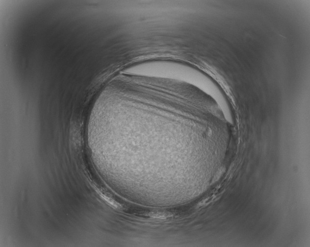 X0000081590105200702121524