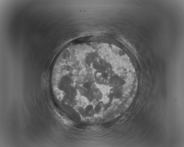 X0000081590107200702121524