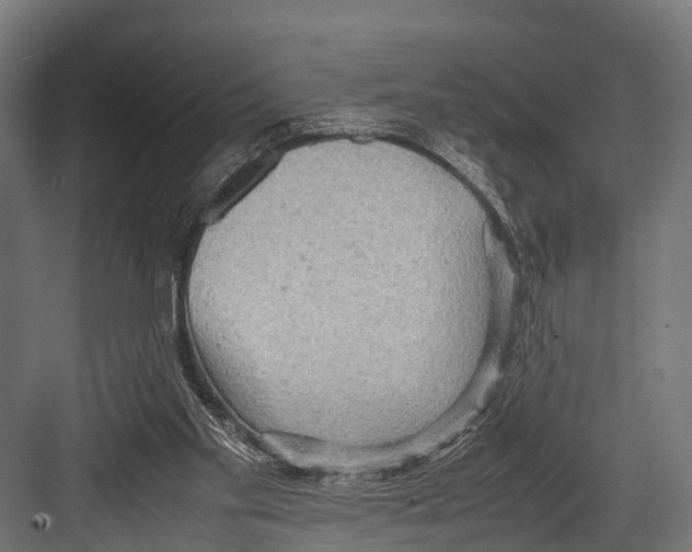 X0000081590109200702121524