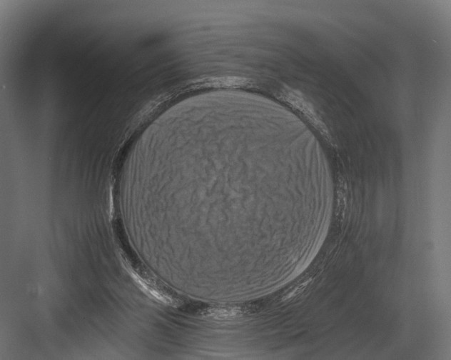 X0000081590110200702121524