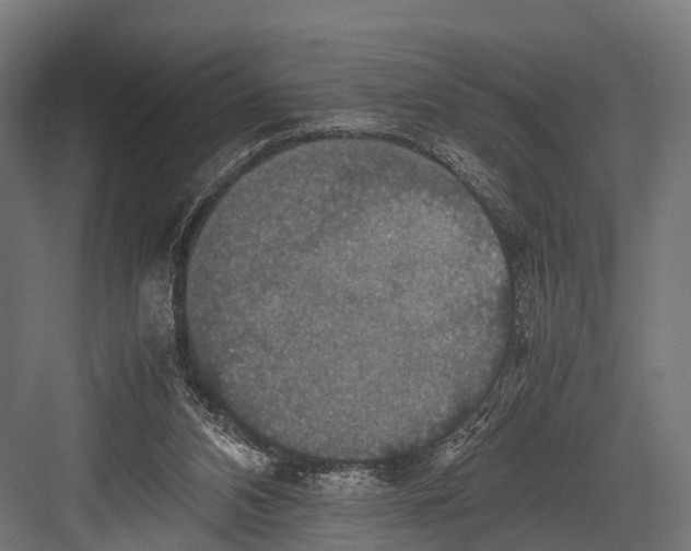 X0000081590112200702121524