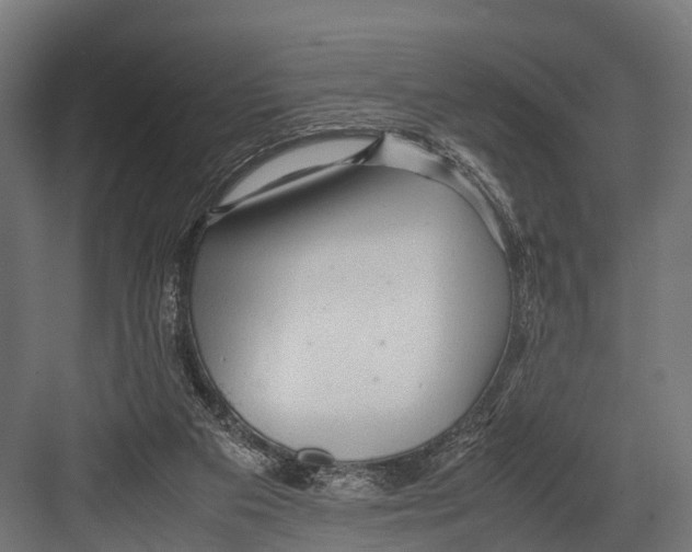 X0000081590113200702121524