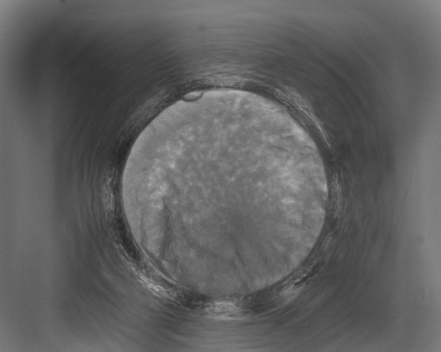 X0000081590114200702121524