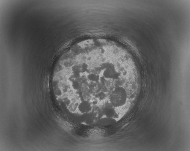 X0000081590115200702121524