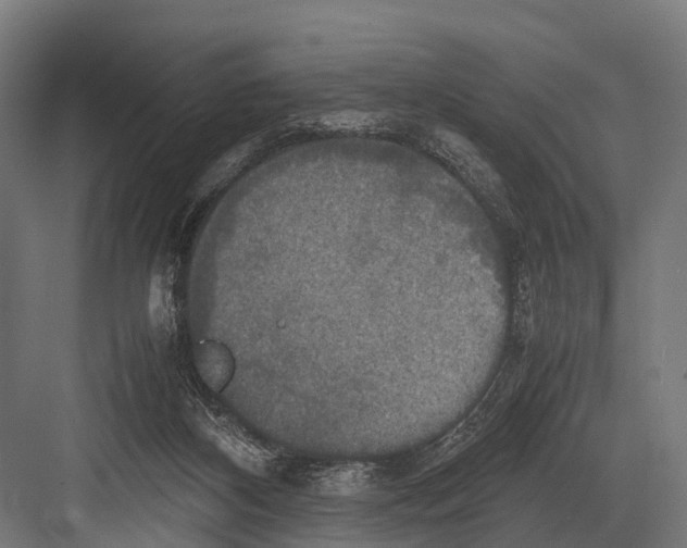 X0000081590116200702121524