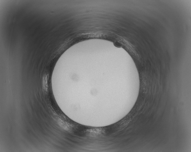 X0000081590118200702121524