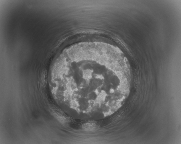 X0000081590119200702121524